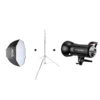 Godox SK 300 with octa & stand